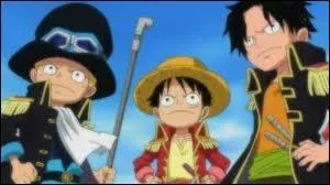 Comment s'appellent les frres de Luffy ?