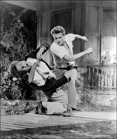 En 1955, Elia Kazan ralise  A l'Est d'Eden , avec James Dean. Ce drame est tir d'un roman de :