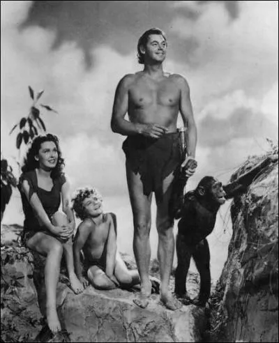 Dans quelle discipline, Johnny Weissmller incarnant Tarzan, a-t-il t un champion olympique ?