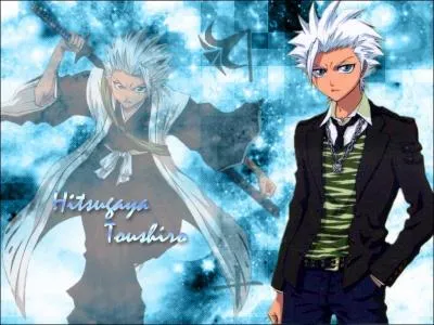 Quelle est la couleur des cheveux de Toshiro ?