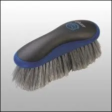 Comment se nomme cette brosse ?