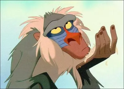 Quelle est la race de Rafiki dans  Le roi lion  ?