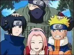 Comment s'appelle le manga qui raconte l'histoire d'un jeune Ninja dont le but est de devenir hokage ?