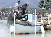 Quiz Les chevaux et poneys clbres