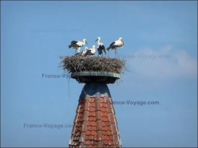 Suite de notre voyage fou  travers la France et halte dans le dpartement du Haut-Rhin, le n :