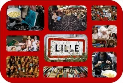 Pour arroser votre repas (moules-frites)  la braderie de Lille, quelle bire du dpartement du Nord pourrez-vous dguster (avec modration) ?