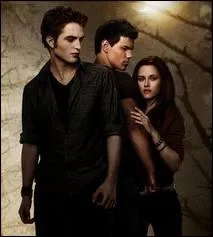 Comment s'appelle le chapitre 3 de  Twilight  ?