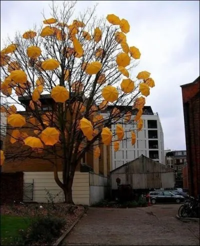 Comment dit-on  un parapluie  en anglais ?