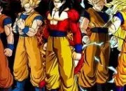 Quiz DBZ personnages