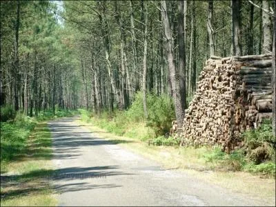 Aprs notre passage  La Runion, nous revenons dans l'hexagone et nous arrtons dans ledpartement des Landes, le n :