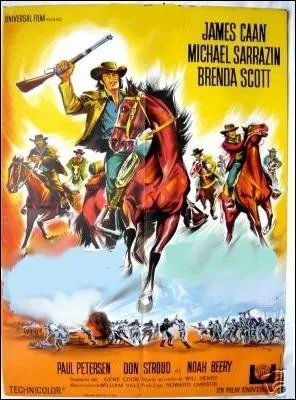 Un des tout premiers rles d'Harrisson Ford en 1968 dans ce western militaire amricain de William hale ... .