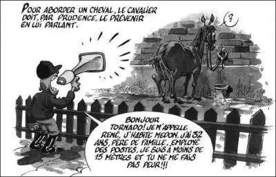 Comment faut-il aborder un cheval ou un poney ?