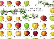 Quiz La pomme, fruit de l'automne... 