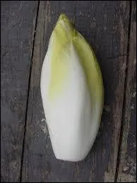 L'endive, appele chicon en Belgique, est une chicore, donc de la famille des ?