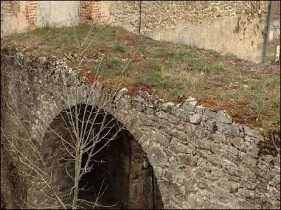 Nous quittons Parthenay, capitale de la Gtine pour rejoindre La Peyratte, quelle industrie le duc de la Meilleraye y installa-t-il au dix-septime sicle ?