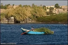 Quel est le plus long fleuve du monde ?