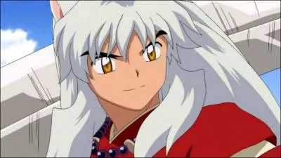 Qui est InuYasha ?