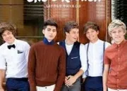 Quiz One Direction-little Things