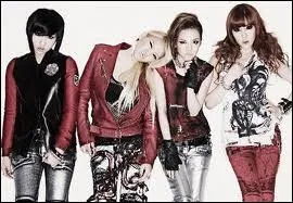 Les 2NE1 chantent ...