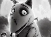 Quiz Tim Burton : 'Frankenweenie'