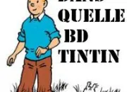 Quiz Dans quelle BD Tintin