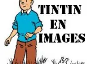 Quiz Tintin en Images (3)