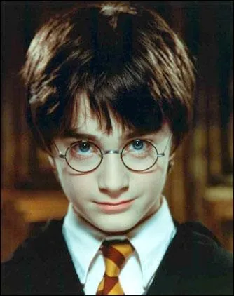 Qui interprte Harry Potter ?