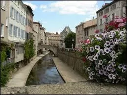 Je commence cette deuxime partie par les habitants de la ville de Montbrison rpondant au nom de ...