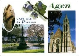 Je commence par une visite de la ville d'Agen, trs connue pour ses pruneaux. Comment appelle-t-on ses habitants ?