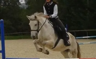 Quiz Equitation