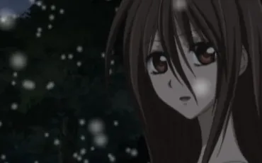 Quiz Vampire knight