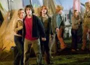 Quiz Harry Potter et la Coupe de feu - t