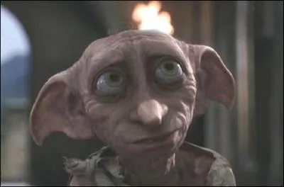 Qui a tu Dobby ?