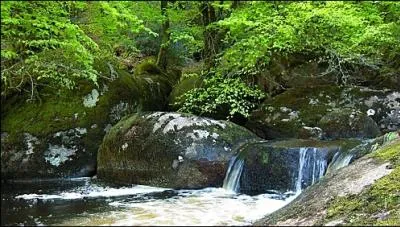 Comme une pierre que l'on jette dans l'eau ... d'un ruisseau