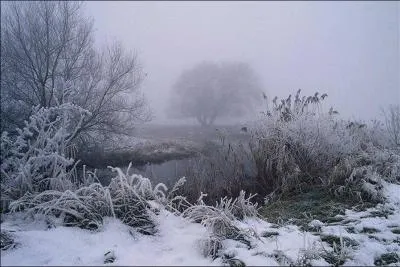  Le ciel (... ) noir, la terre (... ) blanche ;