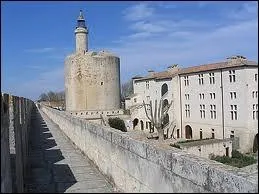 Je commence par une visite de la ville d'Aigues-Mortes, o les habitants se nomment les ...