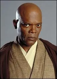 De quelle couleur est le sabre de Mace Windu ?