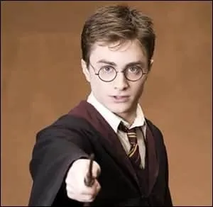 Qui joue Harry Potter ?