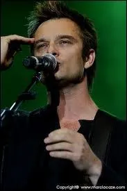 Quelle chanson a t interprte par David Hallyday ?