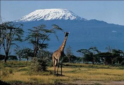 Culminant  5 895 mtres, le Kilimandjaro (photo : le pic Uhuru, au volcan Kibo) est le plus haut sommet du continent africain. Dans quel pays le situez-vous ?