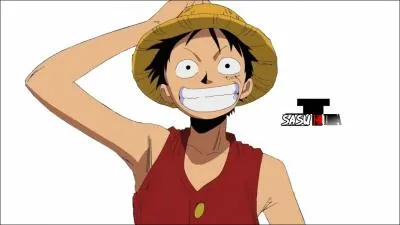 Quelle est la prime de Luffy aprs Enies Lobby ?