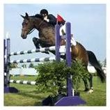 Quiz Equitation