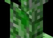 Quiz Minecraft