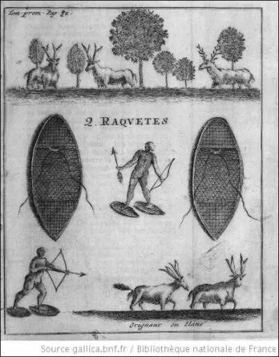 Les autochtones ont survcu  l'hiver en s'adaptant  la nature. De quelles peaux taient gnralement leurs manteaux d'hiver ?