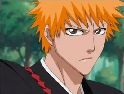 Qui est ce personnage de  Bleach  (de Tite Kubo) ?