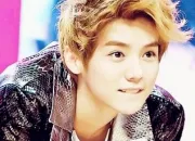 Quiz Luhan (Exo-M)