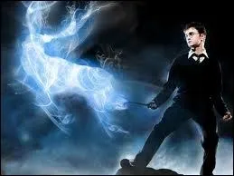 A quoi peut servir un patronus ?