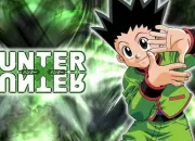 Quiz Hunter x Hunter 2011 : l'quipe du hros