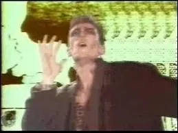 A quel groupe est associ  Tarzan Boy  ?