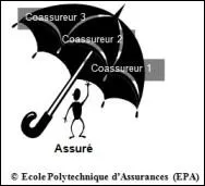 Droit. Il est le premier  tablir et grer un contrat en coassurance.